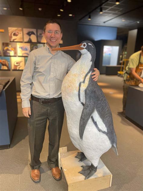 mega penguins|world's biggest penguin.